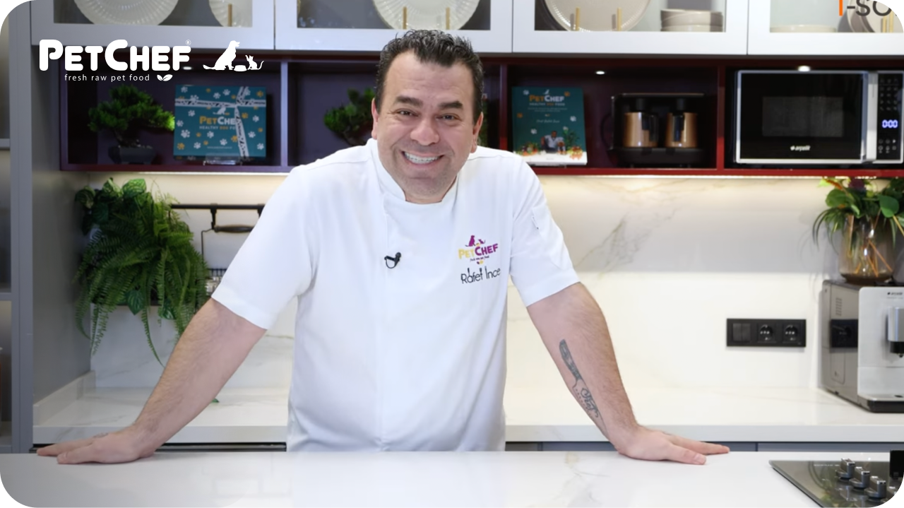 "İletişim dili, kurum kültürü oturmuş müthiş bir ekip!"